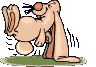 coniglio dondolo.gif